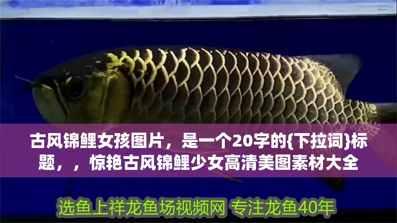 古風(fēng)錦鯉女孩圖片，是一個(gè)20字的{下拉詞}標(biāo)題，，驚艷古風(fēng)錦鯉少女高清美圖素材大全