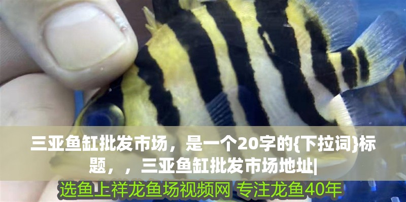 三亞魚缸批發市場，是一個20字的{下拉詞}標題，，三亞魚缸批發市場地址|