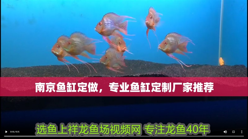 南京魚缸定做，專業(yè)魚缸定制廠家推薦
