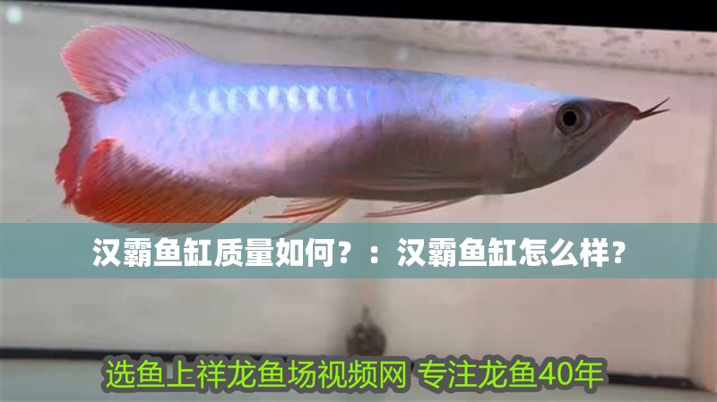 漢霸魚缸質量如何？：漢霸魚缸怎么樣？