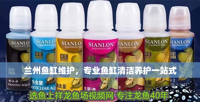 蘭州魚缸維護，專業魚缸清潔養護一站式