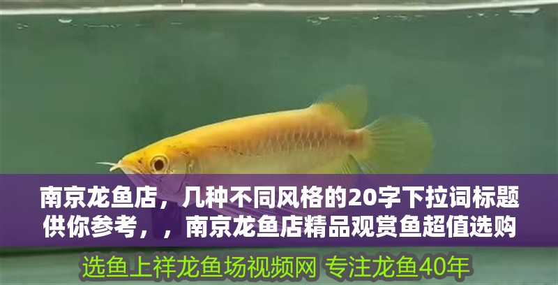 南京龍魚店，幾種不同風(fēng)格的20字下拉詞標(biāo)題供你參考，，南京龍魚店精品觀賞魚超值選購指南，探秘南京龍魚店特色品種與養(yǎng)護(hù)妙招，南京龍魚店高品質(zhì)活體龍魚現(xiàn)貨熱賣，走進(jìn)南京龍魚店領(lǐng)略奇幻水下世界之美，南京龍魚店專業(yè)