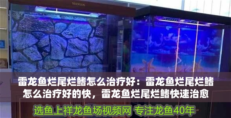 雷龍魚爛尾爛鰭怎么治療好：雷龍魚爛尾爛鰭怎么治療好的快，雷龍魚爛尾爛鰭快速治愈