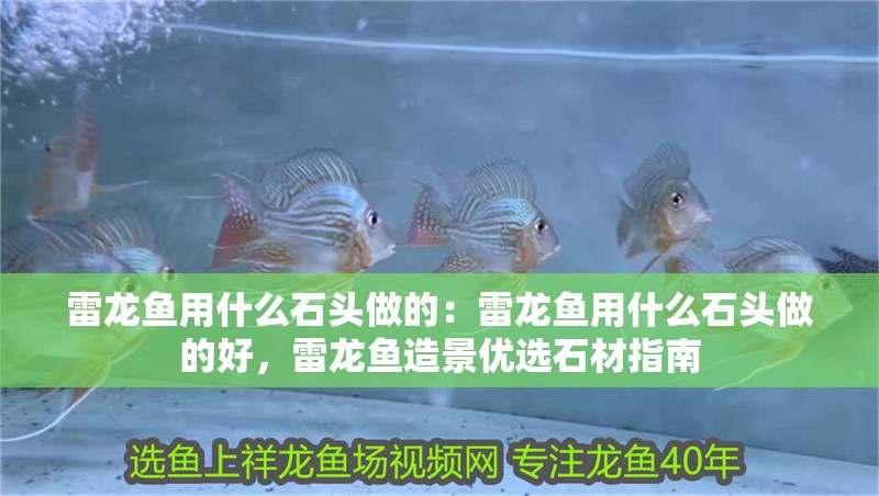 雷龍魚用什么石頭做的：雷龍魚用什么石頭做的好，雷龍魚造景優選石材指南 雷龍魚用什么石頭做的：雷龍魚用什么石頭做的好，雷龍魚造景優選石材指南 水族問答