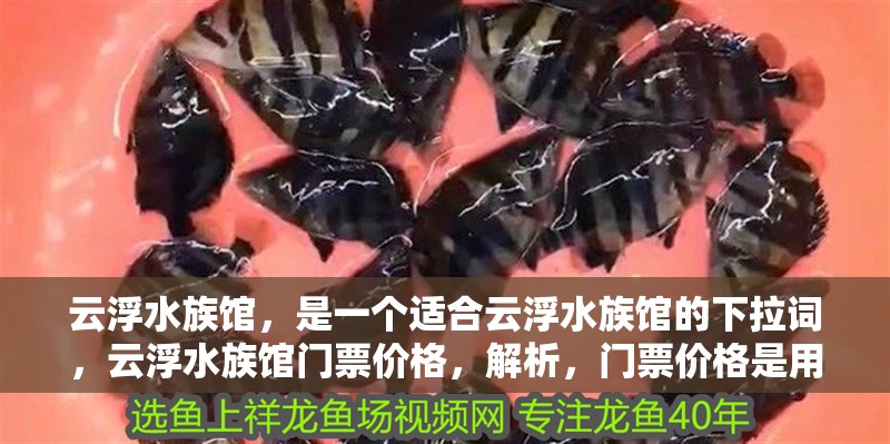 云浮水族館，是一個適合云浮水族館的下拉詞，云浮水族館門票價格，解析，門票價格是用戶搜索水族館時最常關注的衍生需求之一，作為下拉詞能有效匹配潛在用戶的查詢意圖（如購票決策、預算規劃等），同時與主詞云浮水族館形成