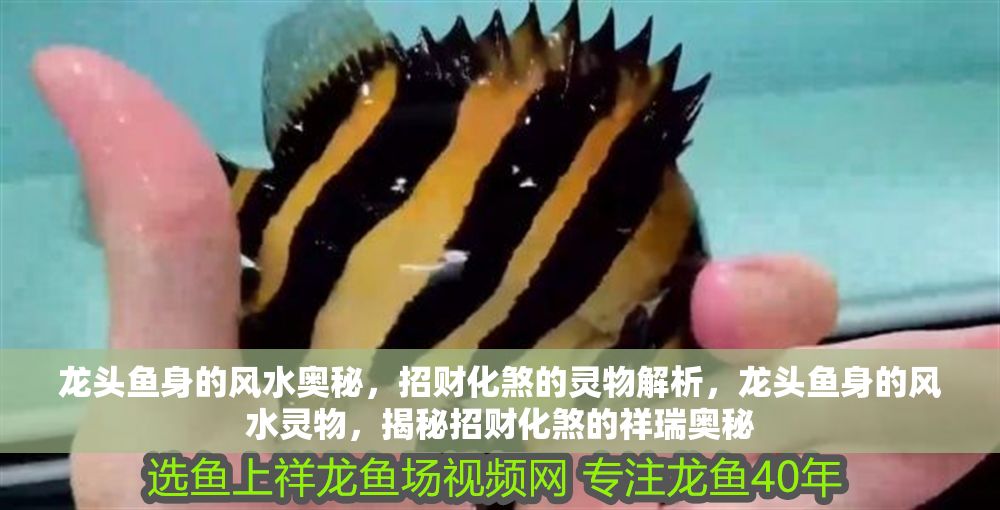 龍頭魚身的風水奧秘，招財化煞的靈物解析，龍頭魚身的風水靈物，揭秘招財化煞的祥瑞奧秘