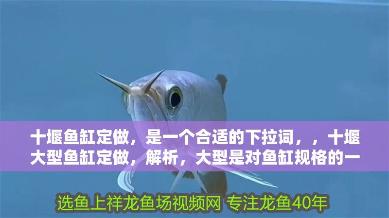 十堰魚缸定做，是一個(gè)合適的下拉詞，，十堰大型魚缸定做，解析，大型是對(duì)魚缸規(guī)格的一種常見細(xì)化需求，很多客戶在定制魚缸時(shí)會(huì)考慮尺寸大小，添加該詞能更精準(zhǔn)地匹配有特定需求的用戶搜索意圖，與原標(biāo)題核心