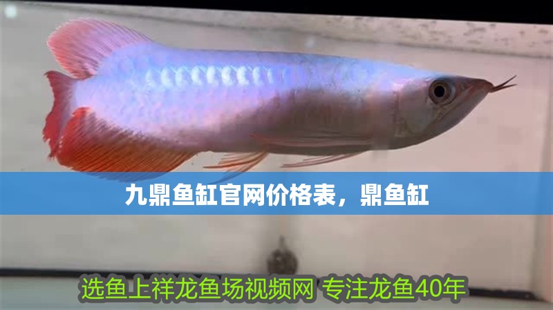 九鼎魚缸官網價格表，鼎魚缸