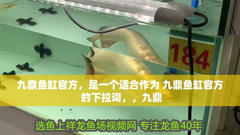 九鼎魚缸官方，是一個適合作為 九鼎魚缸官方 的下拉詞，，九鼎