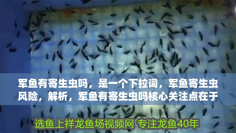 軍魚有寄生蟲嗎，是一個下拉詞，軍魚寄生蟲風(fēng)險，解析，軍魚有寄生蟲嗎核心關(guān)注點在于其是否存在寄生蟲以及相關(guān)風(fēng)險情況，軍魚寄生蟲風(fēng)險既承接了原句主題，又進一步聚焦到對風(fēng)險層面的探討，符合下拉詞圍繞核心話題拓展且表