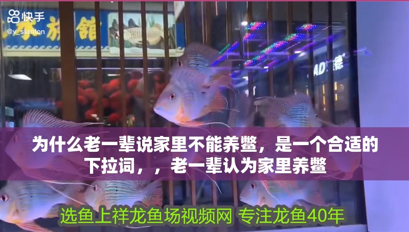 為什么老一輩說家里不能養(yǎng)鱉，是一個合適的下拉詞，，老一輩認為家里養(yǎng)鱉