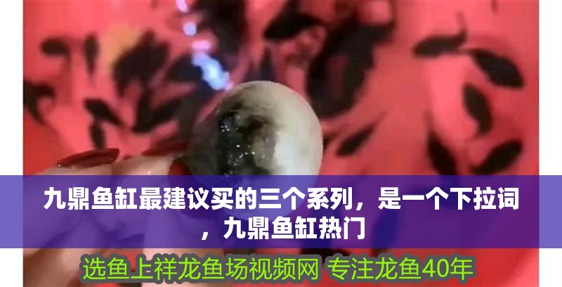 九鼎魚缸最建議買的三個系列，是一個下拉詞，九鼎魚缸熱門