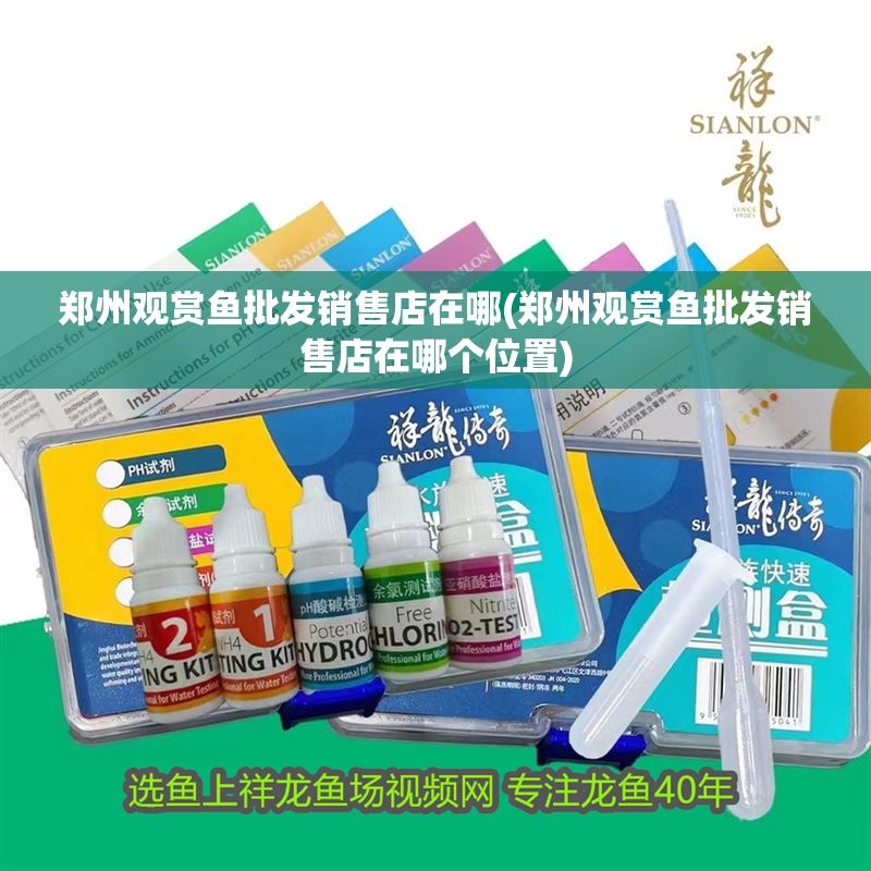 鄭州觀賞魚批發銷售店在哪(鄭州觀賞魚批發銷售店在哪個位置)