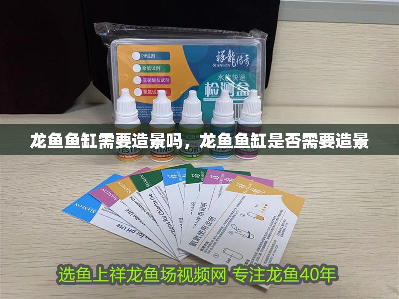 龍魚魚缸需要造景嗎，龍魚魚缸是否需要造景