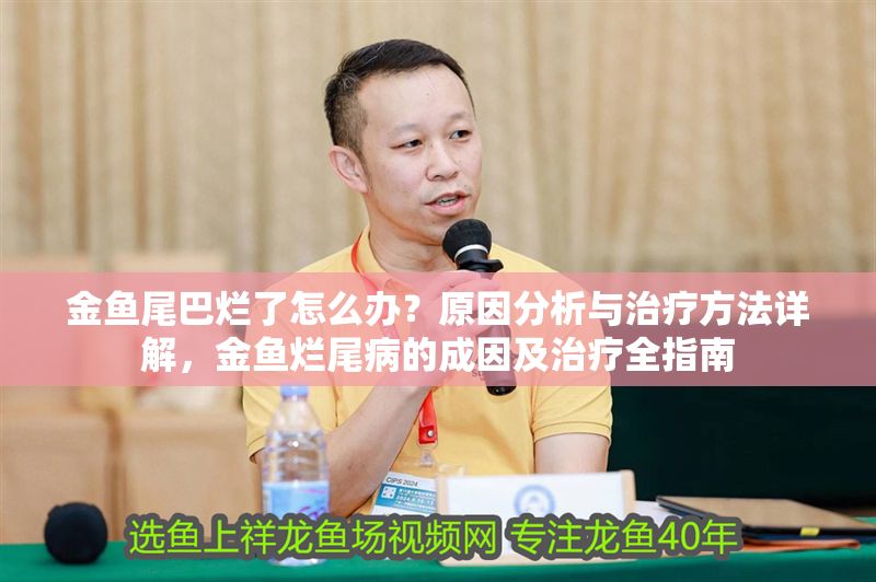 金魚尾巴爛了怎么辦？原因分析與治療方法詳解，金魚爛尾病的成因及治療全指南
