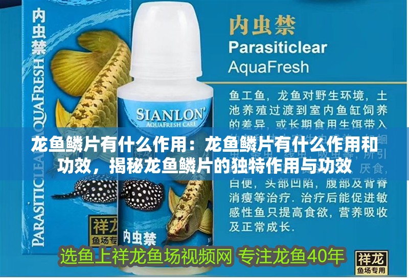 龍魚鱗片有什么作用：龍魚鱗片有什么作用和功效，揭秘龍魚鱗片的獨特作用與功效