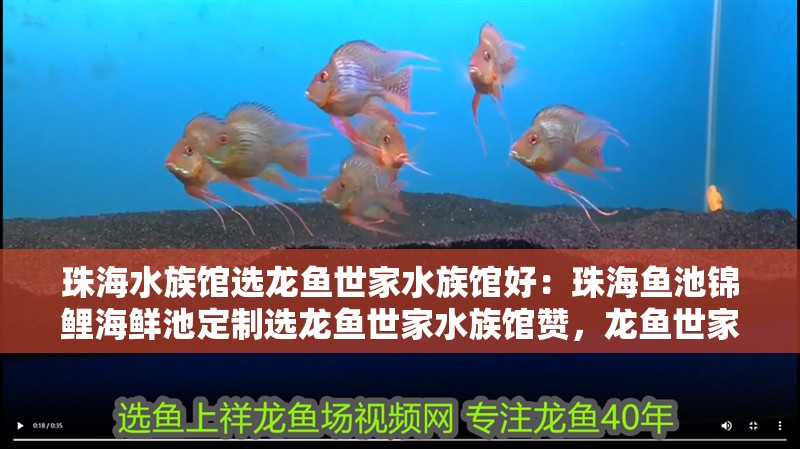 珠海水族館選龍魚世家水族館好：珠海魚池錦鯉海鮮池定制選龍魚世家水族館贊，龍魚世家水族館，專業(yè)定制魚池錦鯉與