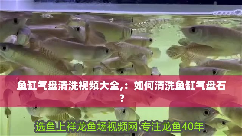 魚缸氣盤清洗視頻大全,：如何清洗魚缸氣盤石？