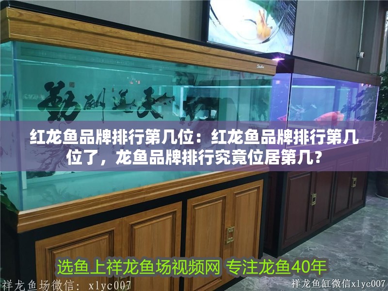 紅龍魚品牌排行第幾位：紅龍魚品牌排行第幾位了，龍魚品牌排行究竟位居第幾？