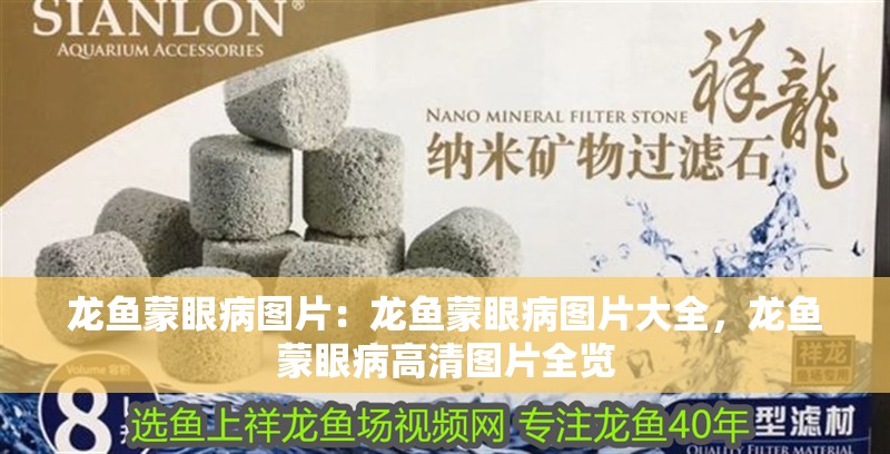 龍魚蒙眼病圖片：龍魚蒙眼病圖片大全，龍魚蒙眼病高清圖片全覽