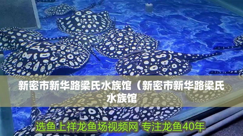 新密市新華路梁氏水族館（新密市新華路梁氏水族館