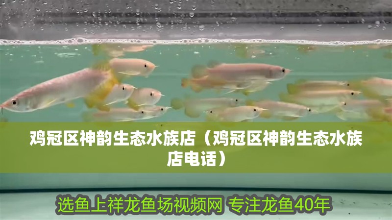 雞冠區(qū)神韻生態(tài)水族店（雞冠區(qū)神韻生態(tài)水族店電話）