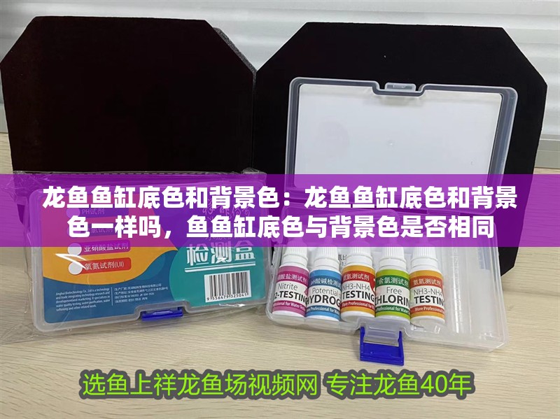 龍魚魚缸底色和背景色：龍魚魚缸底色和背景色一樣嗎，魚魚缸底色與背景色是否相同