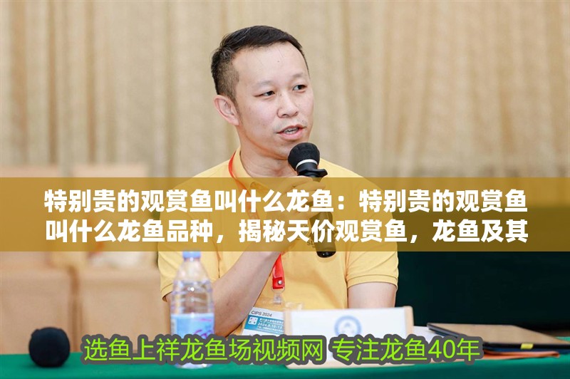 特別貴的觀賞魚叫什么龍魚：特別貴的觀賞魚叫什么龍魚品種，揭秘天價觀賞魚，龍魚及其珍稀品種探秘