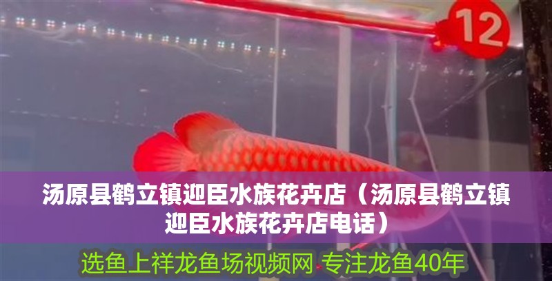 湯原縣鶴立鎮(zhèn)迎臣水族花卉店（湯原縣鶴立鎮(zhèn)迎臣水族花卉店電話）