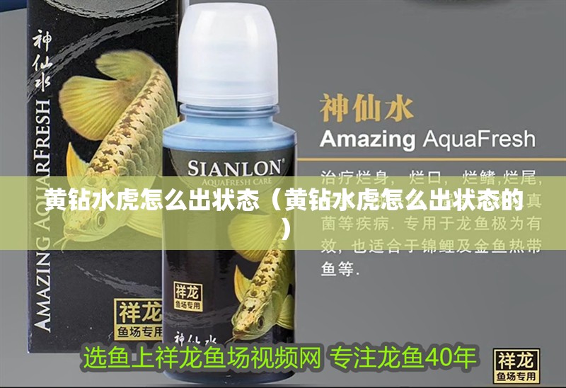 黃鉆水虎怎么出狀態（黃鉆水虎怎么出狀態的）