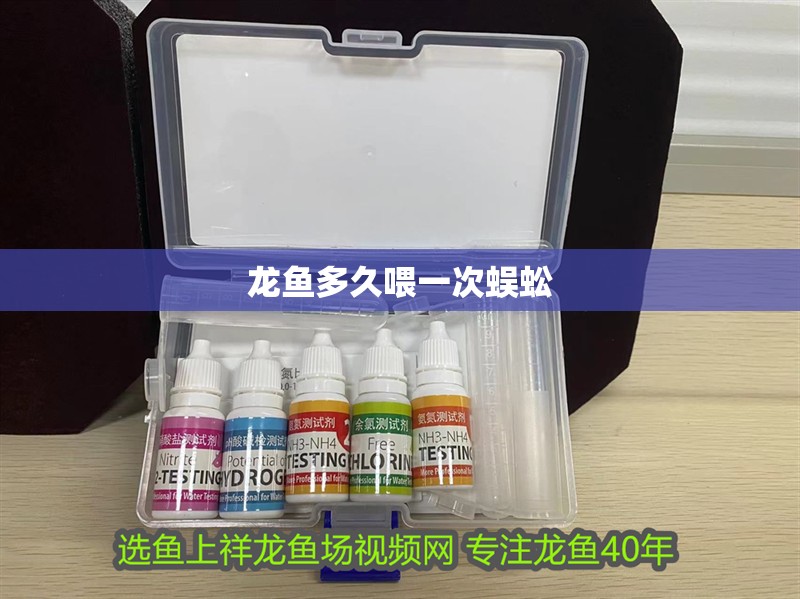 龍魚多久喂一次蜈蚣