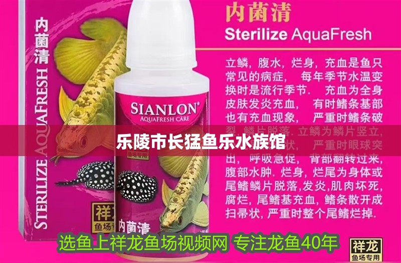 樂陵市長猛魚樂水族館