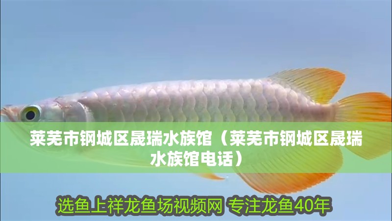 萊蕪市鋼城區晟瑞水族館（萊蕪市鋼城區晟瑞水族館電話）