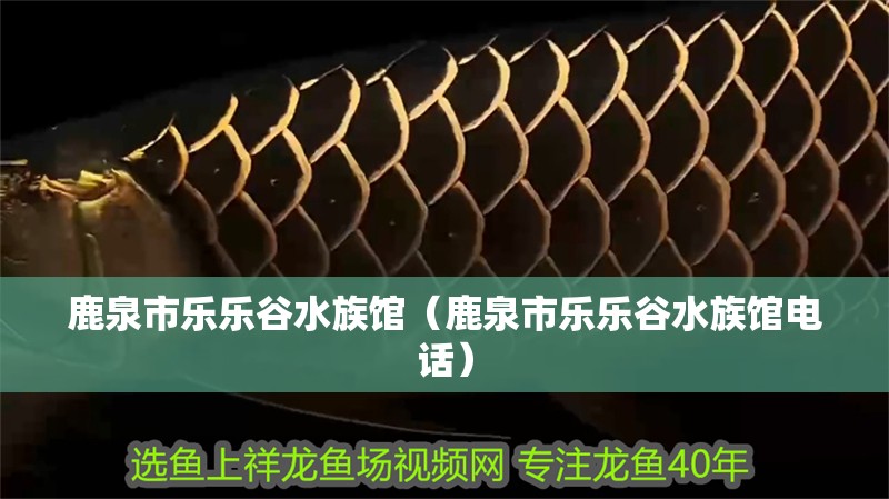 鹿泉市樂樂谷水族館（鹿泉市樂樂谷水族館電話）