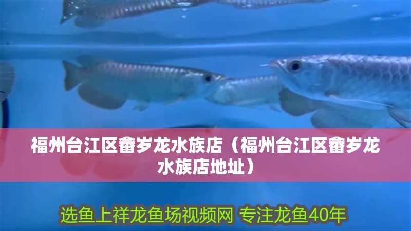 福州臺(tái)江區(qū)畬歲龍水族店（福州臺(tái)江區(qū)畬歲龍水族店地址）