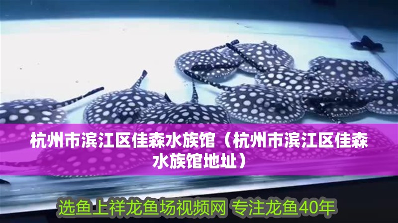 杭州市濱江區(qū)佳森水族館（杭州市濱江區(qū)佳森水族館地址）