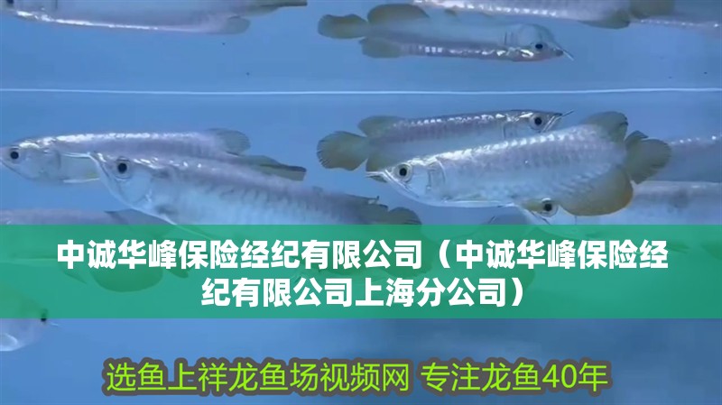 中誠華峰保險經紀有限公司(中誠華峰保險經紀有限公司上海分公司)