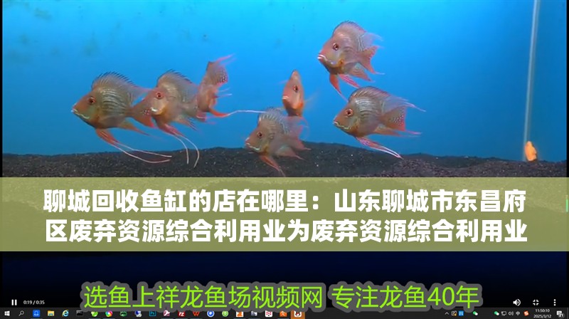 聊城回收魚缸的店在哪里：山東聊城市東昌府區廢棄資源綜合利用業為廢棄資源綜合利用業