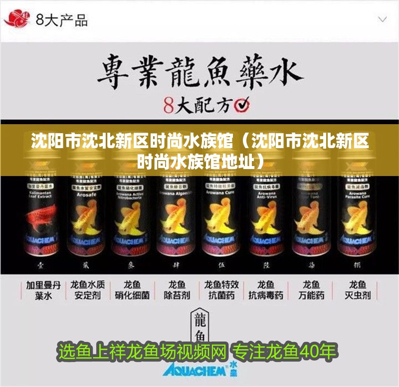 沈陽市沈北新區(qū)時(shí)尚水族館（沈陽市沈北新區(qū)時(shí)尚水族館地址）