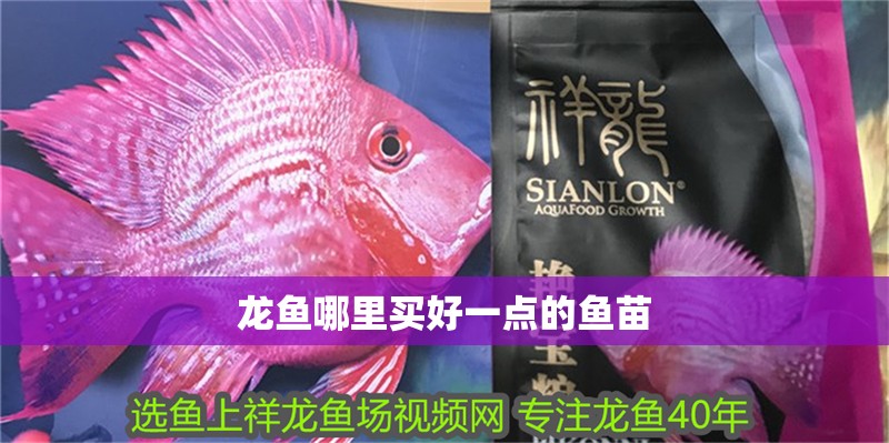 龍魚哪里買好一點的魚苗