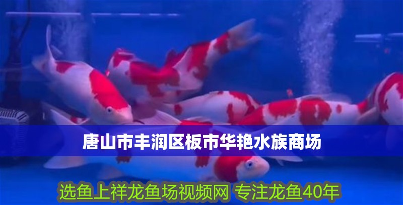 唐山市豐潤區板市華艷水族商場