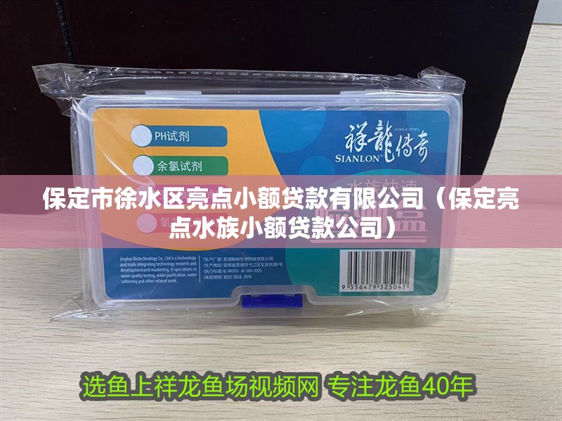 保定市徐水區亮點小額貸款有限公司（保定亮點水族小額貸款公司）