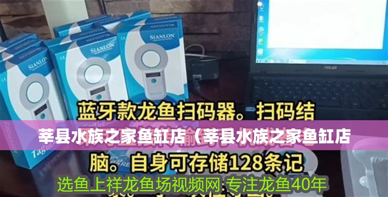 莘縣水族之家魚缸店（莘縣水族之家魚缸店