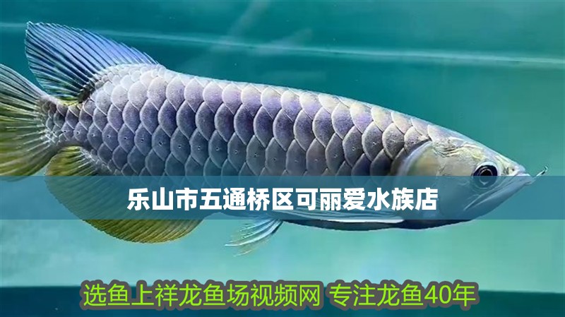 樂山市五通橋區(qū)可麗愛水族店 全國水族館企業(yè)名錄 第2張 樂山市五通橋區(qū)可麗愛水族店 樂山市五通橋區(qū)可麗愛水族店 全國水族館企業(yè)名錄 第2張