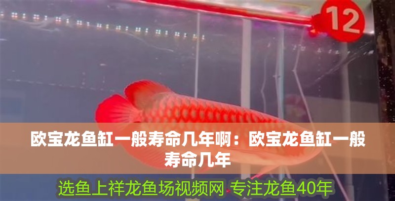 歐寶龍魚缸一般壽命幾年啊：歐寶龍魚缸一般壽命幾年