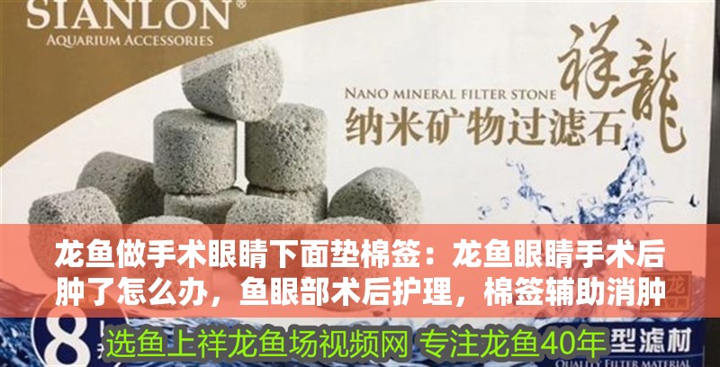 龍魚做手術(shù)眼睛下面墊棉簽：龍魚眼睛手術(shù)后腫了怎么辦，魚眼部術(shù)后護(hù)理，棉簽輔助消腫