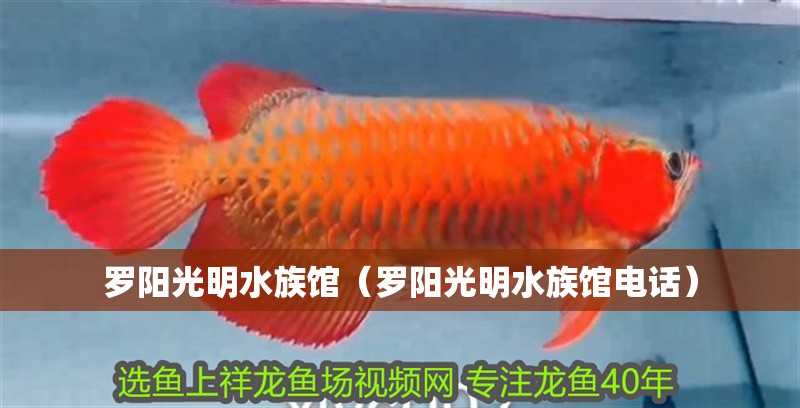 羅陽光明水族館（羅陽光明水族館電話）