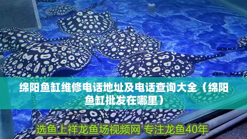 綿陽魚缸維修電話地址及電話查詢大全（綿陽魚缸批發在哪里）