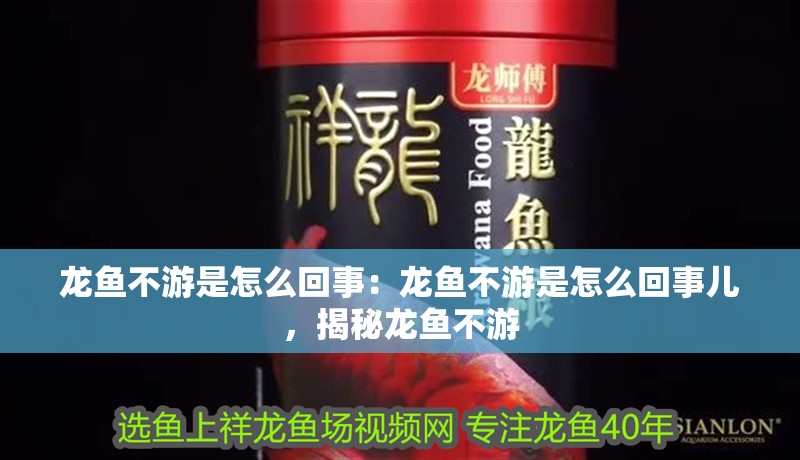龍魚不游是怎么回事：龍魚不游是怎么回事兒，揭秘龍魚不游
