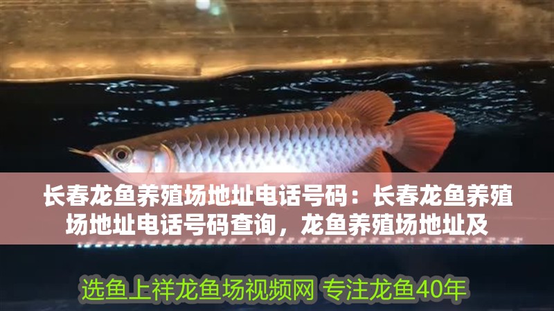 長春龍魚養殖場地址電話號碼：長春龍魚養殖場地址電話號碼查詢，龍魚養殖場地址及